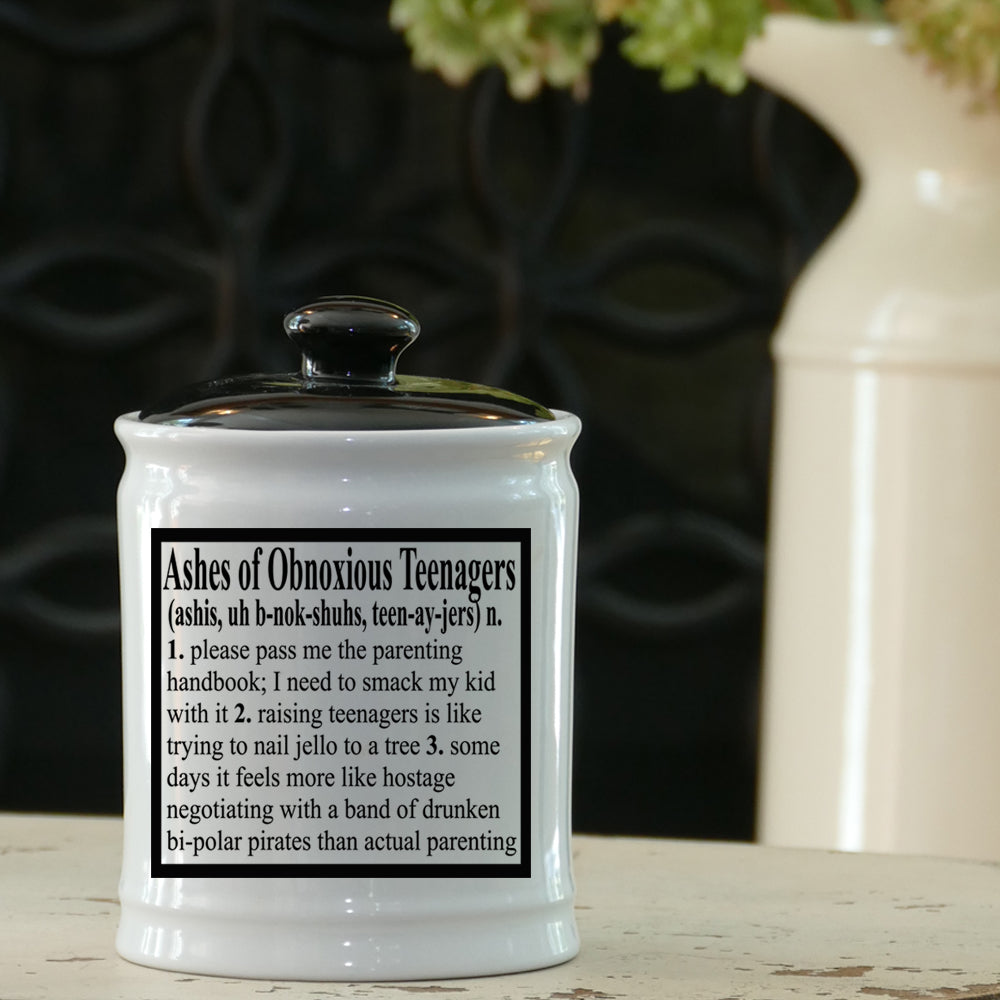 Cottage Creek Ashes of Problem Obnoxious Teenagers Piggy Bank, Multicolored, 6", Ceramic Candy Jar