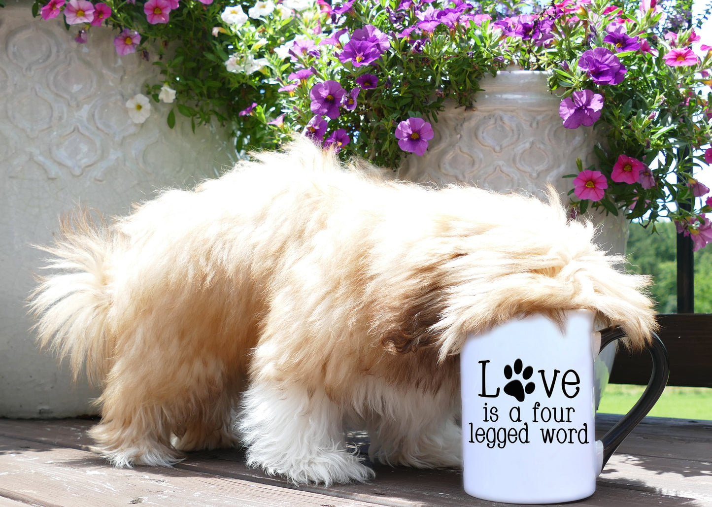 Cottage Creek Love is a Four Legged Word Dog Coffee Mug, 16oz. Multicolored