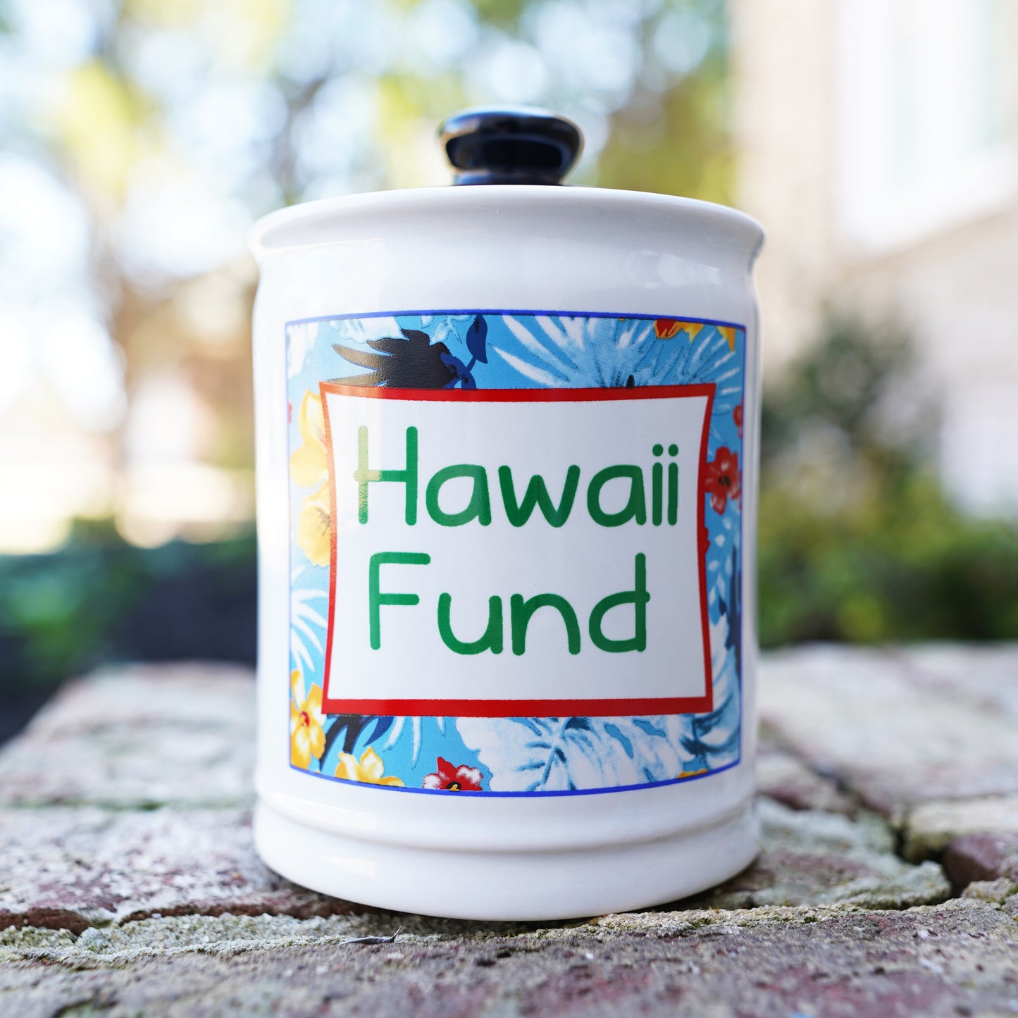 Cottage Creek Hawaii Fund Piggy Bank, Multicolored, Ceramic, 6" Hawaiian Vacation Travel Bank