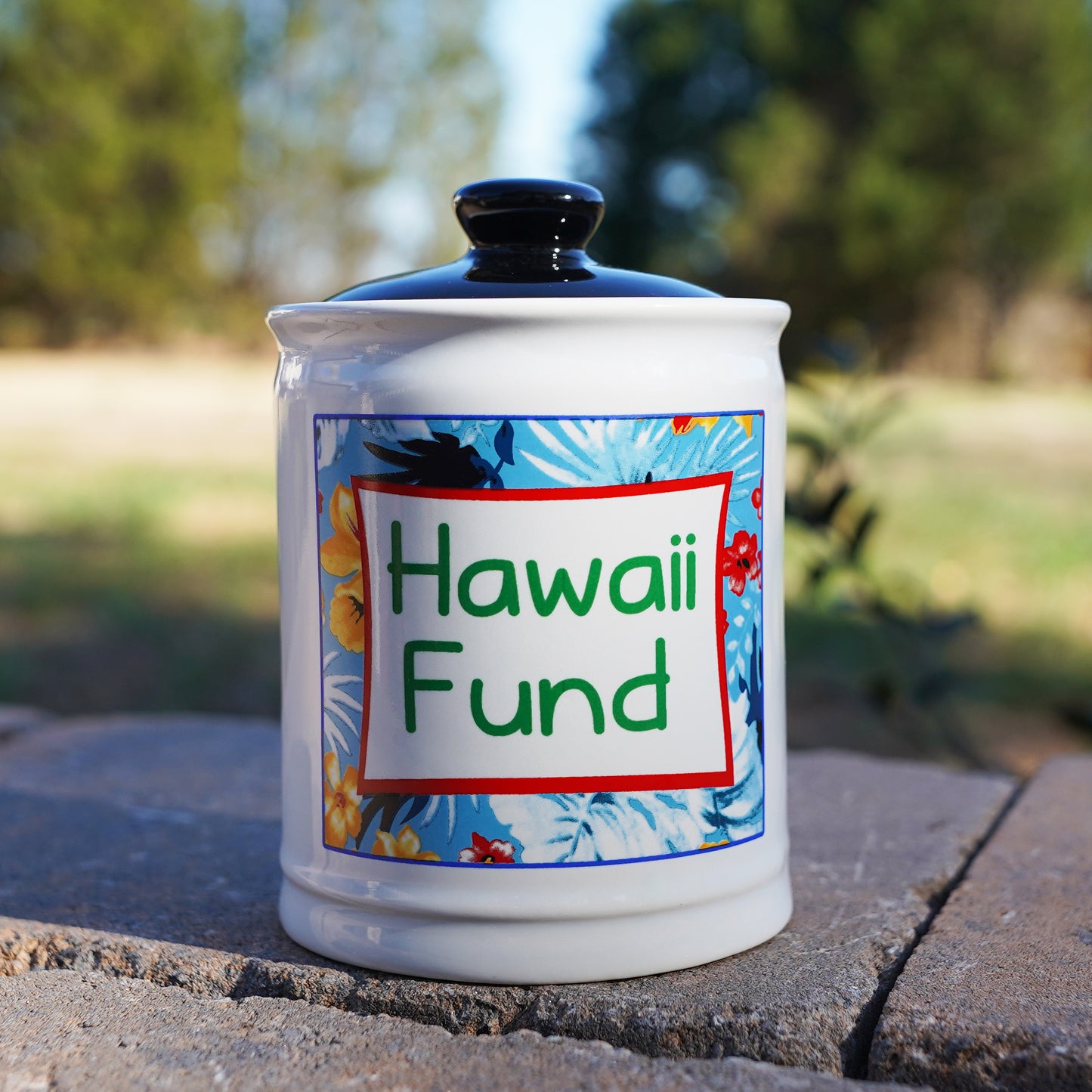 Cottage Creek Hawaii Fund Piggy Bank, Multicolored, Ceramic, 6" Hawaiian Vacation Travel Bank