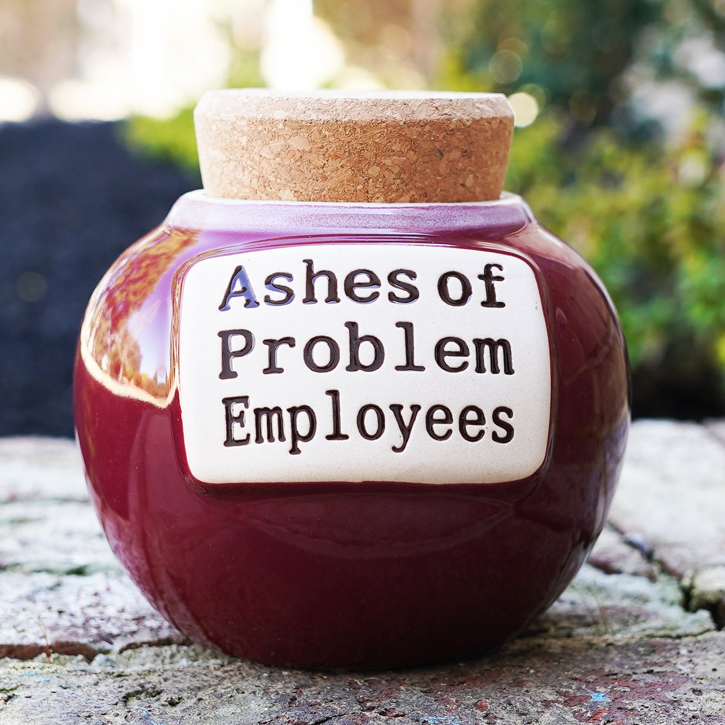Cottage Creek Ashes of Problem Employees Funny Red Ceramic Jar with Cork Lid - Versatile Piggy Bank, Candy Dish & Home Decor - Hilarious Gifts for Coworkers, Bosses, and White Elephant Parties