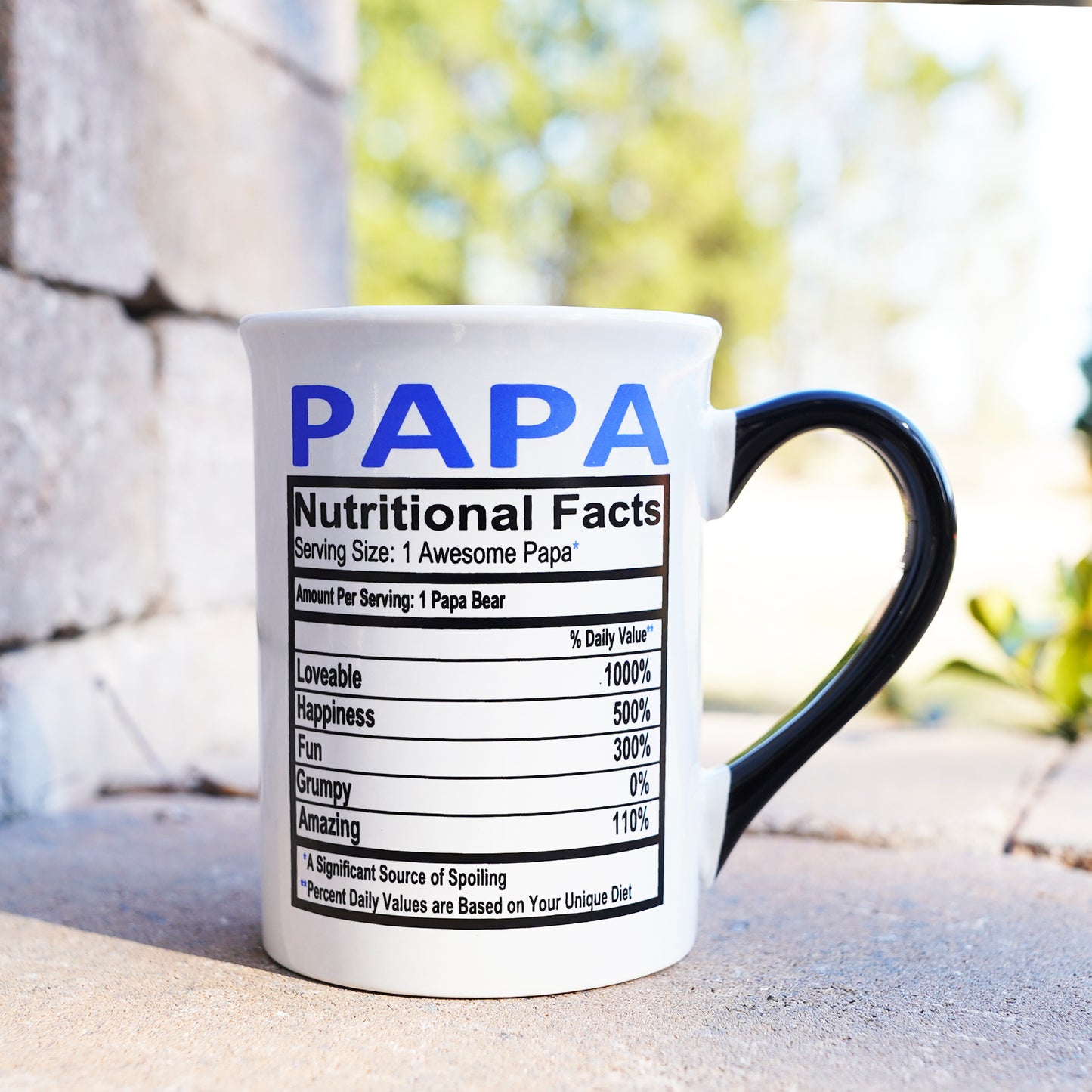 Papa Mug, Papa Coffee Mug for Papa, 16oz., 6" Multicolored