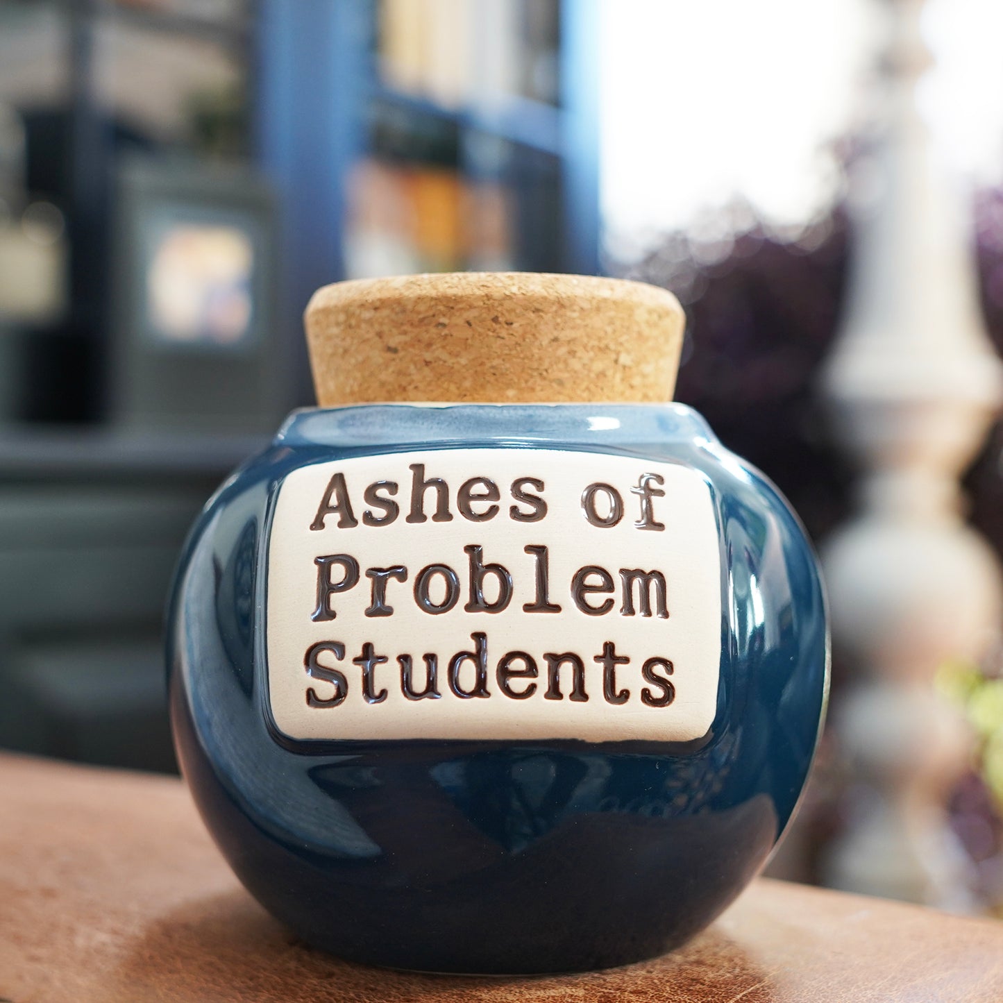 Ashes of Problem Student Piggy Bank, Teacher Gifts