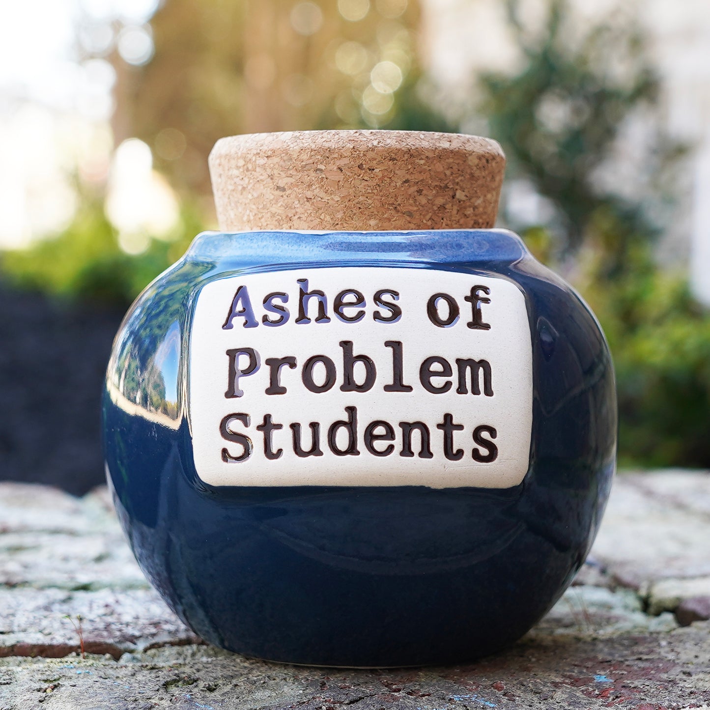 Ashes of Problem Student Piggy Bank, Teacher Gifts