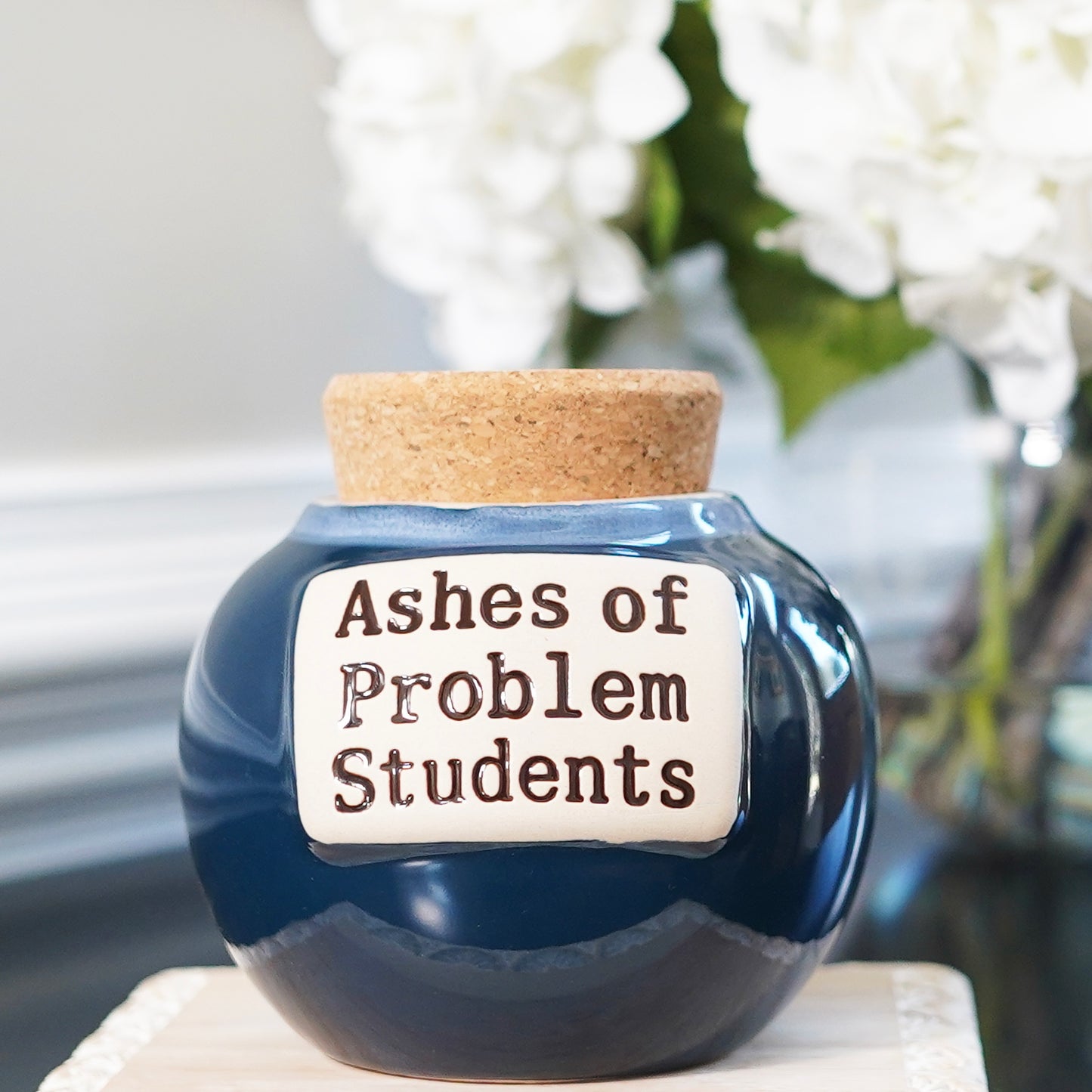 Ashes of Problem Student Piggy Bank, Teacher Gifts
