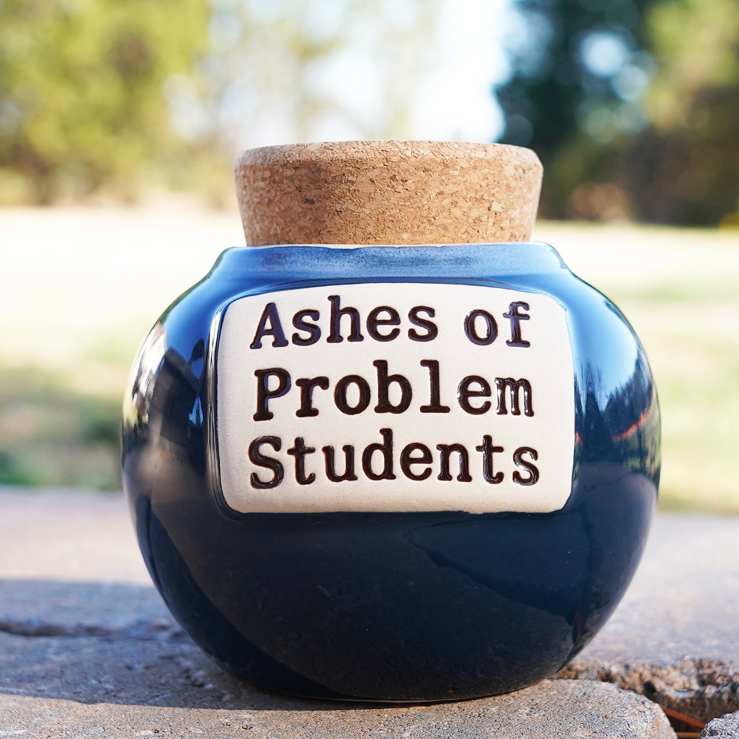 Ashes of Problem Student Piggy Bank, Teacher Gifts