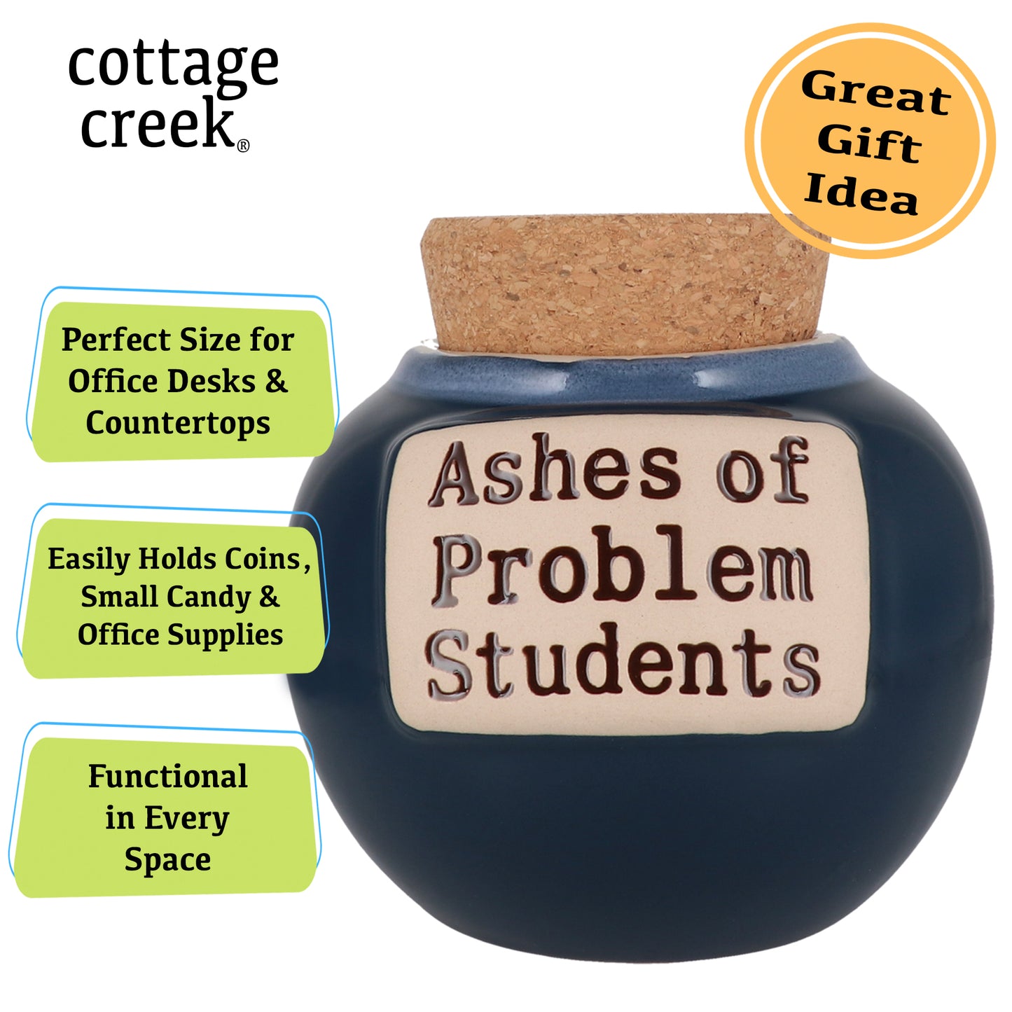 Ashes of Problem Student Piggy Bank, Teacher Gifts