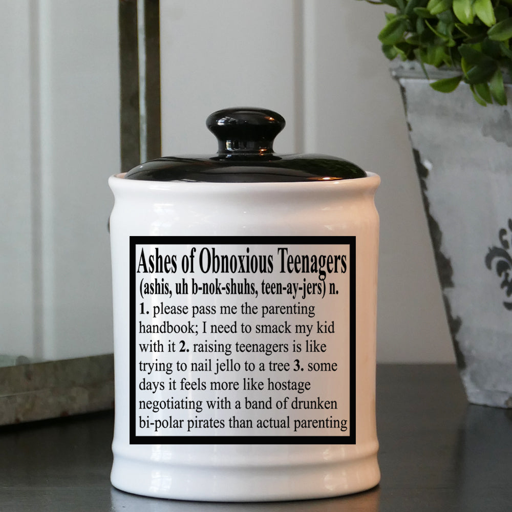 Cottage Creek Ashes of Problem Obnoxious Teenagers Piggy Bank, Multicolored, 6", Ceramic Candy Jar
