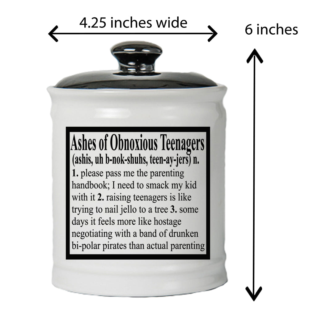 Cottage Creek Ashes of Problem Obnoxious Teenagers Piggy Bank, Multicolored, 6", Ceramic Candy Jar