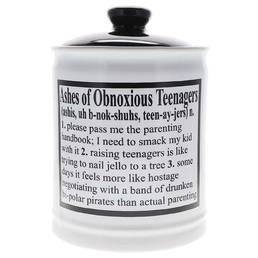 Cottage Creek Ashes of Problem Obnoxious Teenagers Piggy Bank, Multicolored, 6", Ceramic Candy Jar