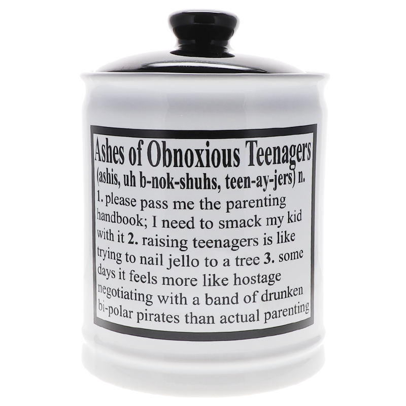 Cottage Creek Ashes of Problem Obnoxious Teenagers Piggy Bank, Multicolored, 6", Ceramic Candy Jar