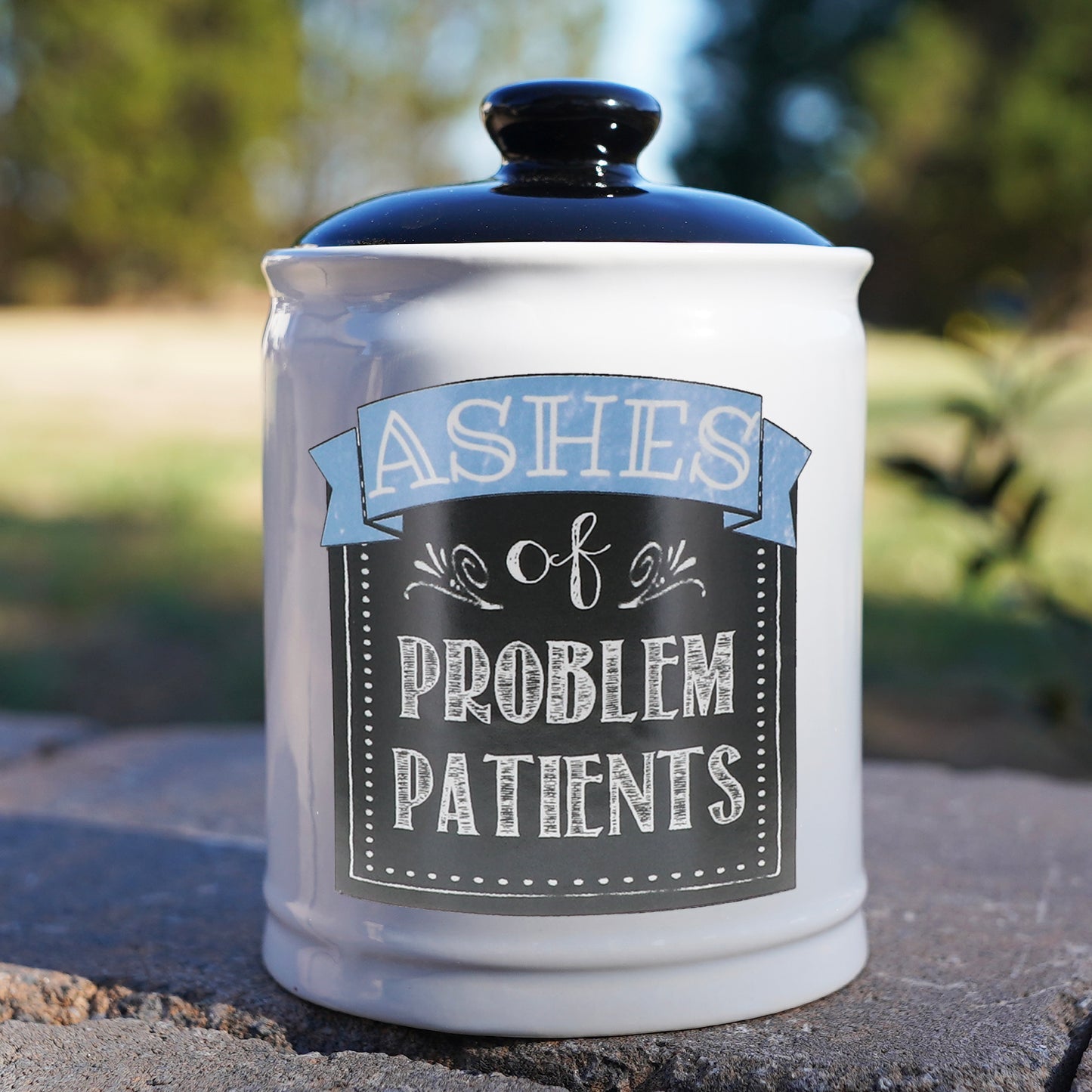 Cottage Creek Ashes of Problem Patients Piggy Bank, Multicolored, 6", Ceramic Office Candy Jar, Nurse Doctor Gifts