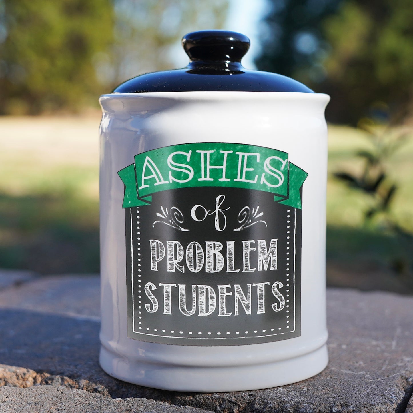 Cottage Creek Ashes of Problem Students Piggy Bank, Teacher Candy Jar, Ceramic, 6", Multicolored