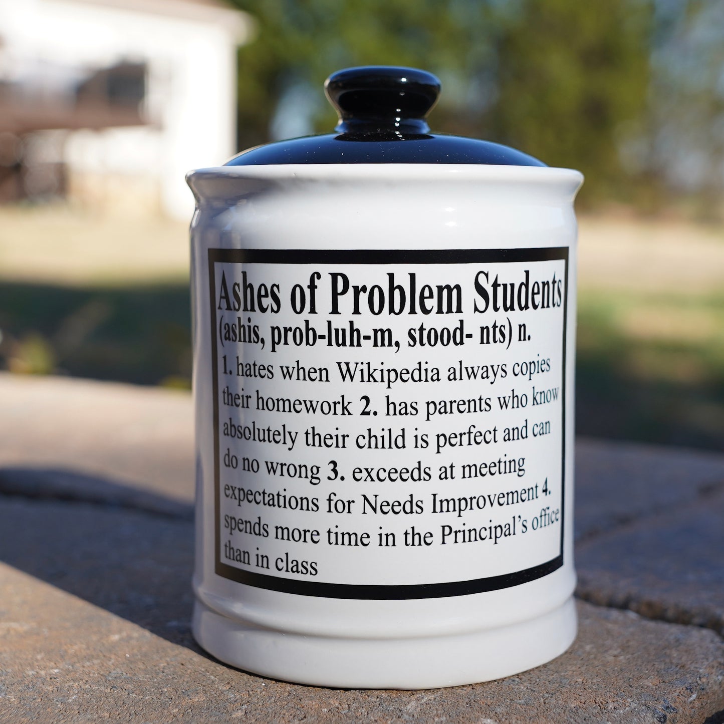 Cottage Creek Ashes of Problem Students Piggy Bank, 6", Ceramic Multicolored Candy Jar