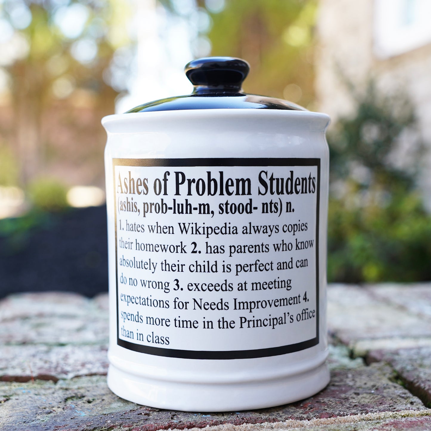 Cottage Creek Ashes of Problem Students Piggy Bank, 6", Ceramic Multicolored Candy Jar