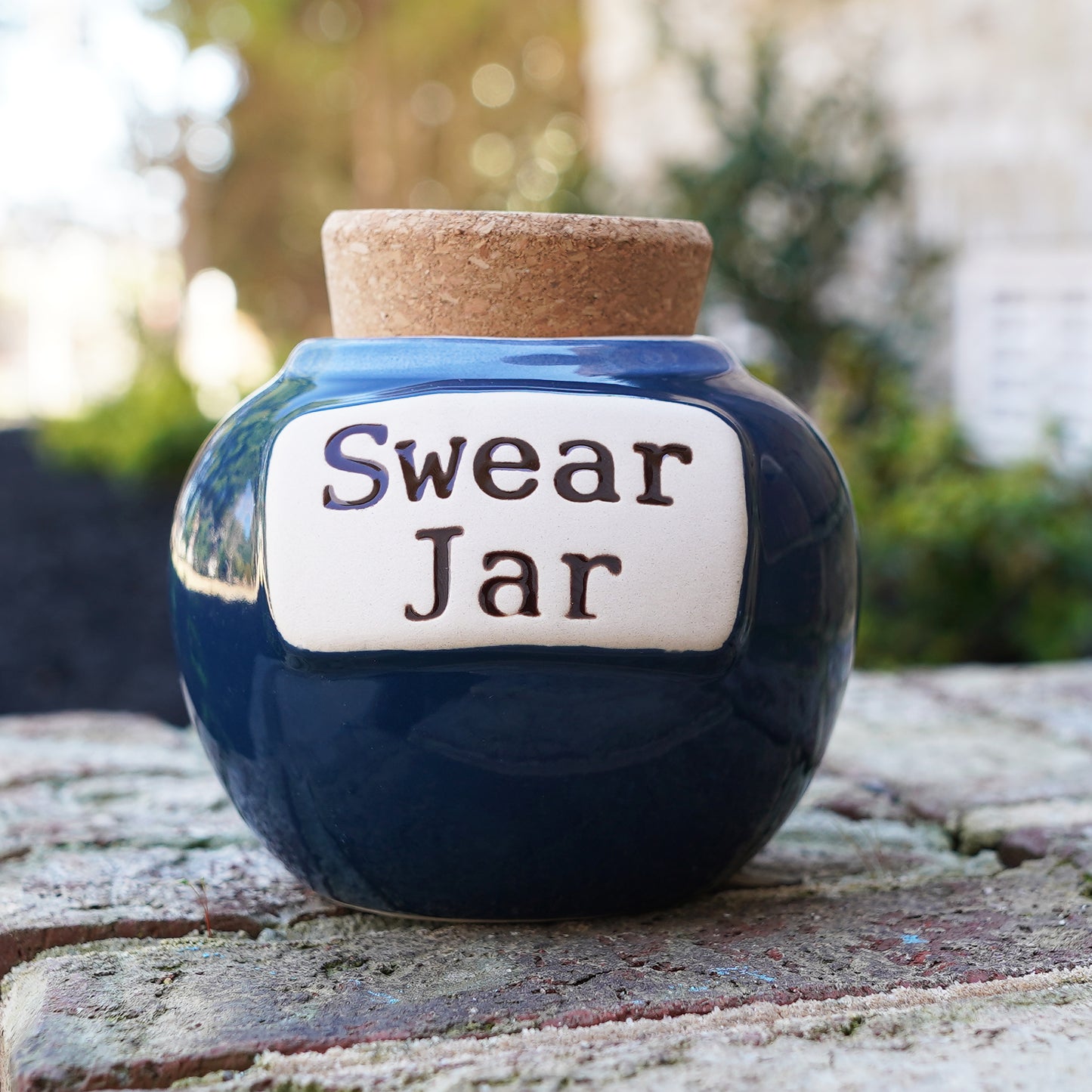 Cottage Creek Swear Jar, Cuss Word Piggy Bank, Ceramic 6", Blue