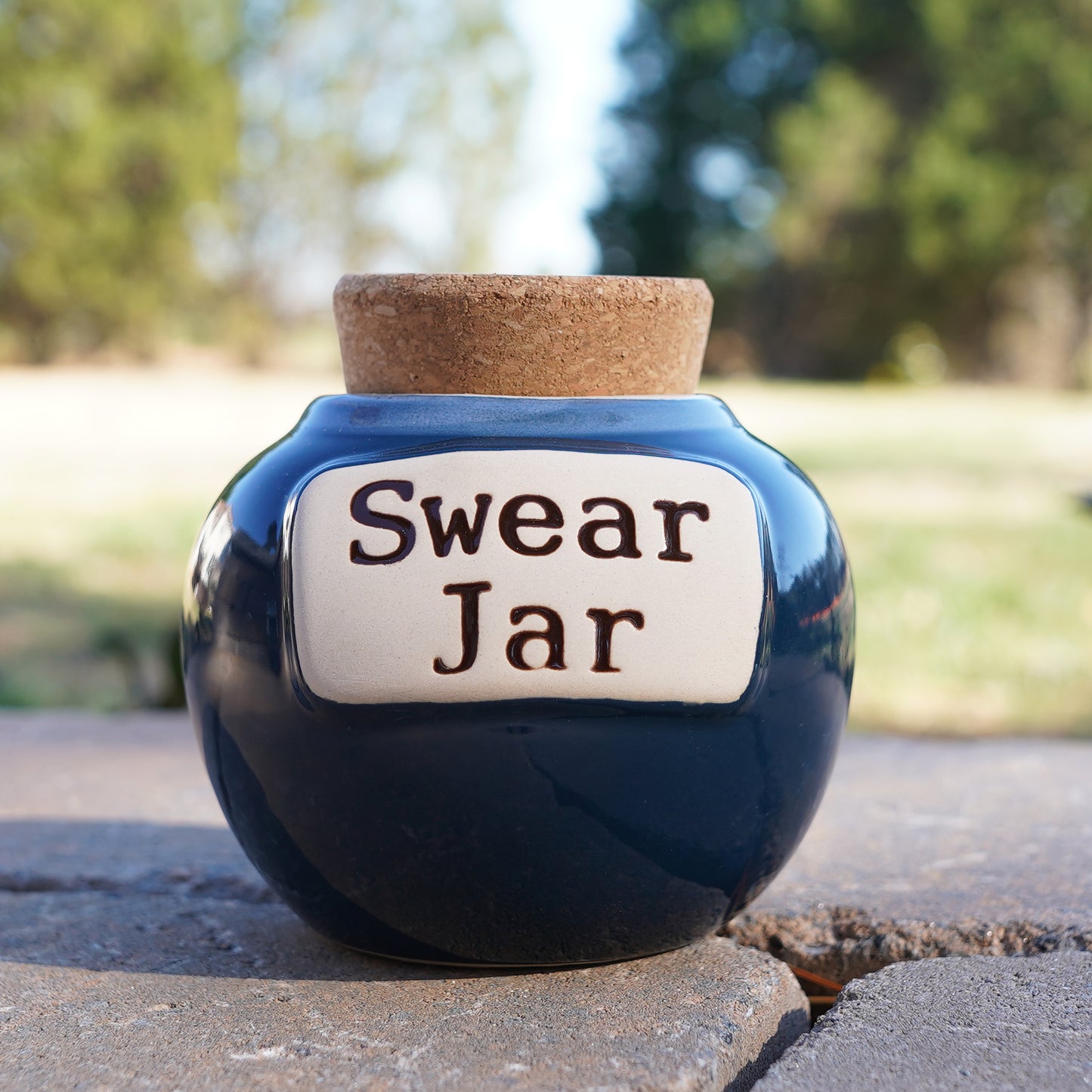 Cottage Creek Swear Jar, Cuss Word Piggy Bank, Ceramic 6", Blue